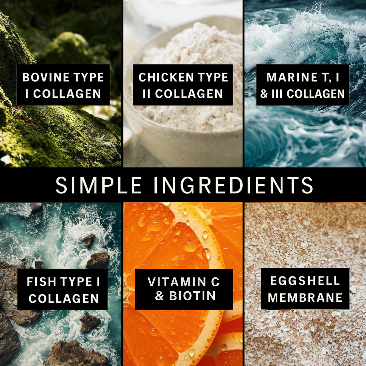 Nourishbio® Multi Collagen Peptides